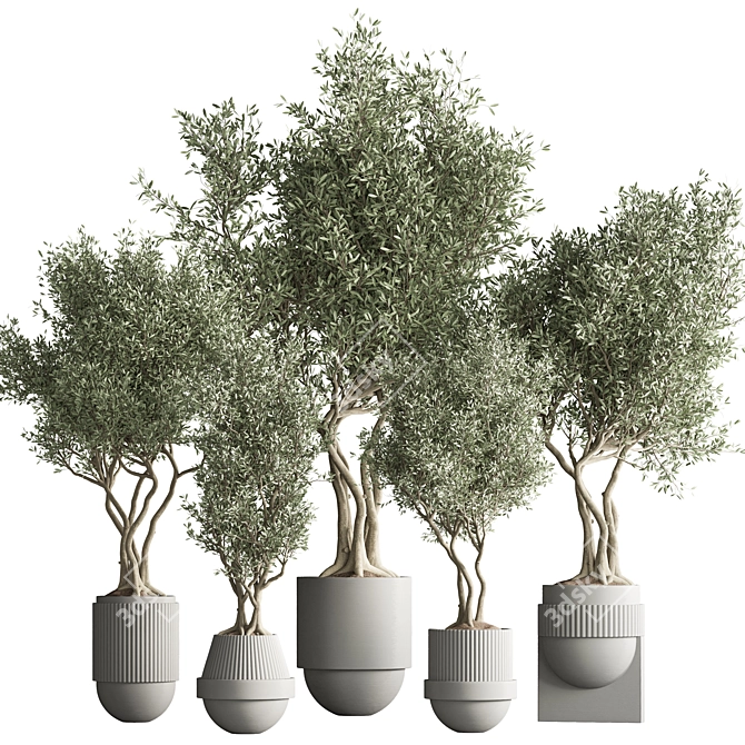 32-Piece Indoor Plant Set 3D model image 7