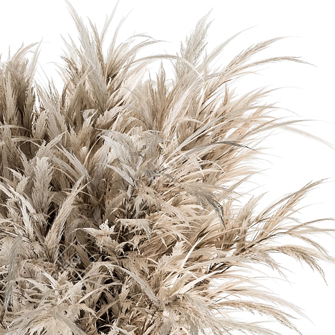 84-Piece Dried Pampas Collection 3D model image 2