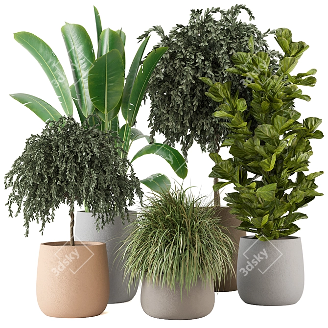Green Oasis: Indoor Plants Collection 3D model image 1
