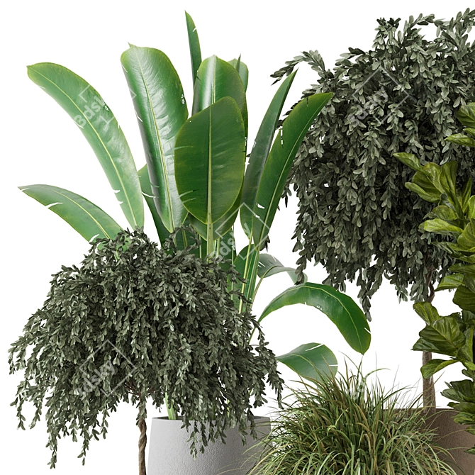 Green Oasis: Indoor Plants Collection 3D model image 2