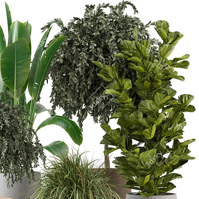 Green Oasis: Indoor Plants Collection 3D model image 3