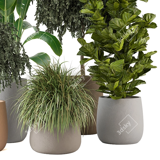 Green Oasis: Indoor Plants Collection 3D model image 5