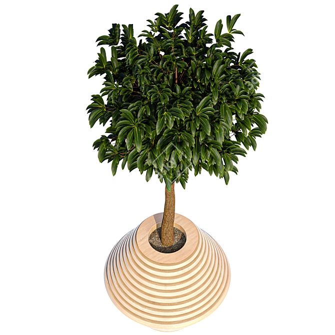 Lush Greenery - Premium Plant Collection 3D model image 7