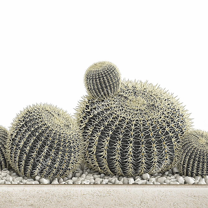 Tropical Exotic Cacti Collection 3D model image 4