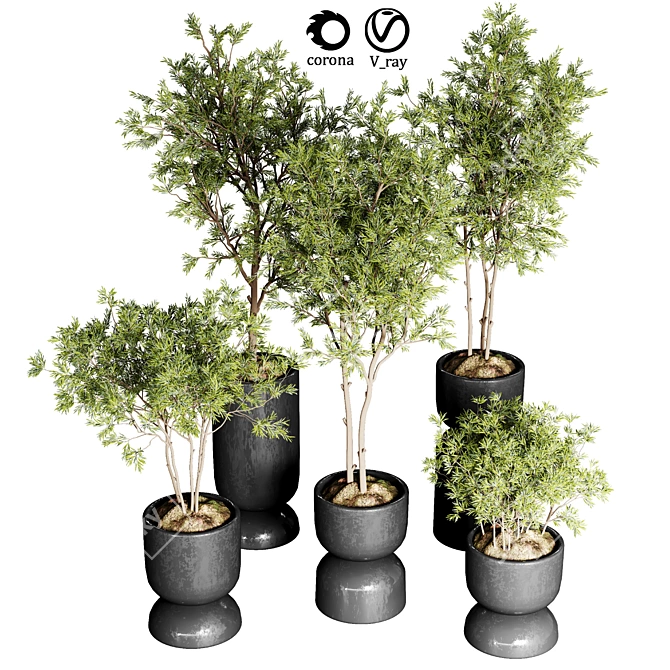 Urban Jungle: 30 Indoor Plants 3D model image 1