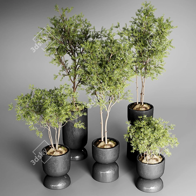 Urban Jungle: 30 Indoor Plants 3D model image 2