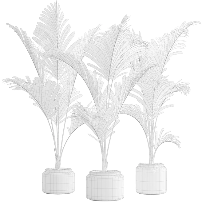 Tropical Majesty Palm Plant 3D model image 3