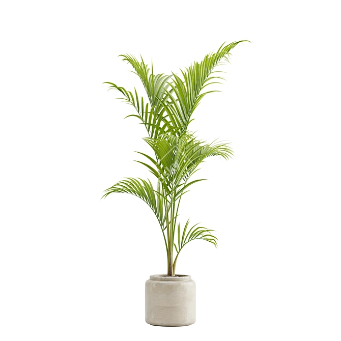 Tropical Majesty Palm Plant 3D model image 6