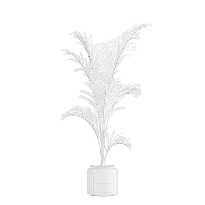 Tropical Majesty Palm Plant 3D model image 7