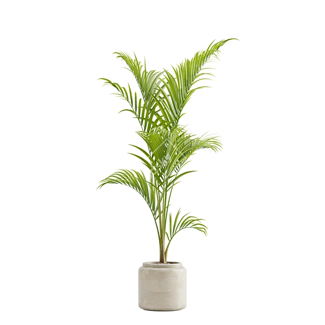 Tropical Majesty Palm Plant 3D model image 13