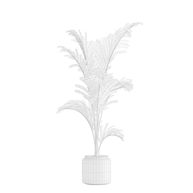 Tropical Majesty Palm Plant 3D model image 21