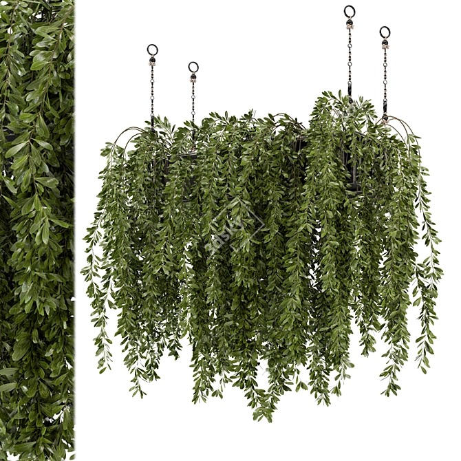Metal Box Hanging Plants - Set 445 3D model image 1