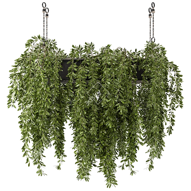 Metal Box Hanging Plants - Set 445 3D model image 2