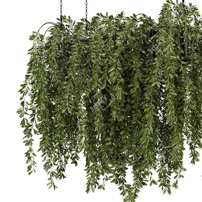 Metal Box Hanging Plants - Set 445 3D model image 3