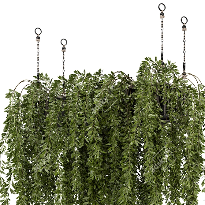 Metal Box Hanging Plants - Set 445 3D model image 4