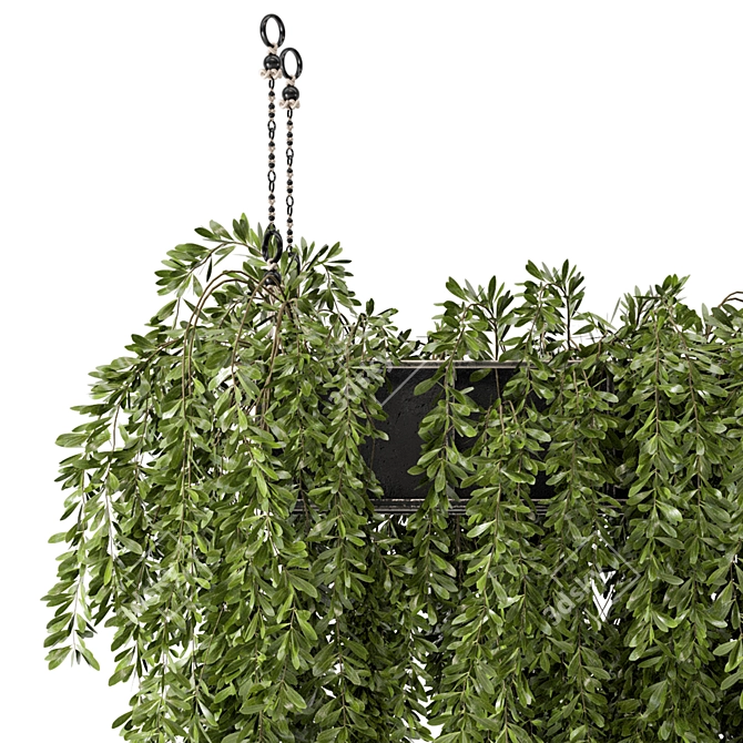 Metal Box Hanging Plants - Set 445 3D model image 5