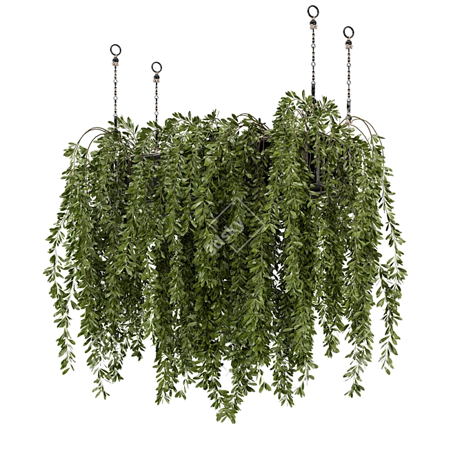 Metal Box Hanging Plants - Set 445 3D model image 6