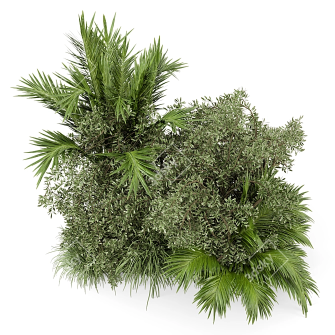 Lush Outdoor Bush Set 446 3D model image 2