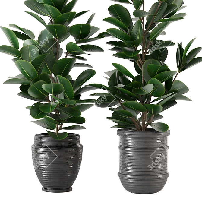 Modern Indoor Plant Collection - Set 205 3D model image 2