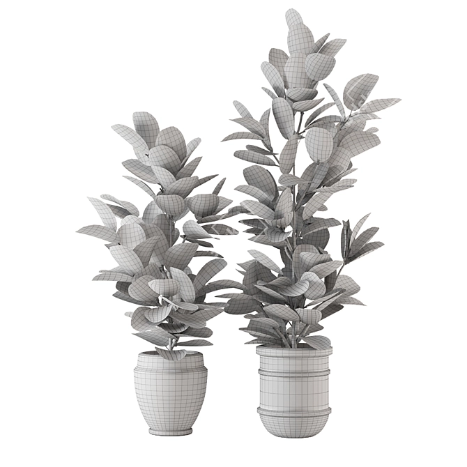 Modern Indoor Plant Collection - Set 205 3D model image 5