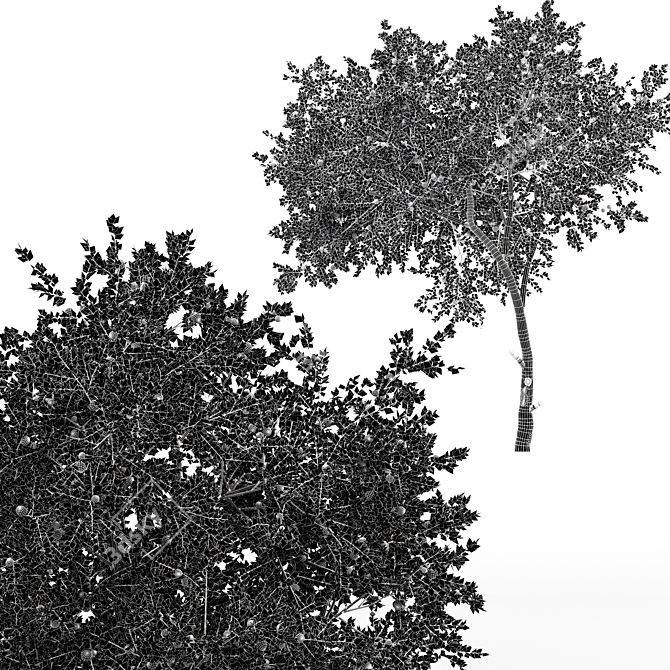 Fruit Tree 3D Models - Lemon and Apple 3D model image 6
