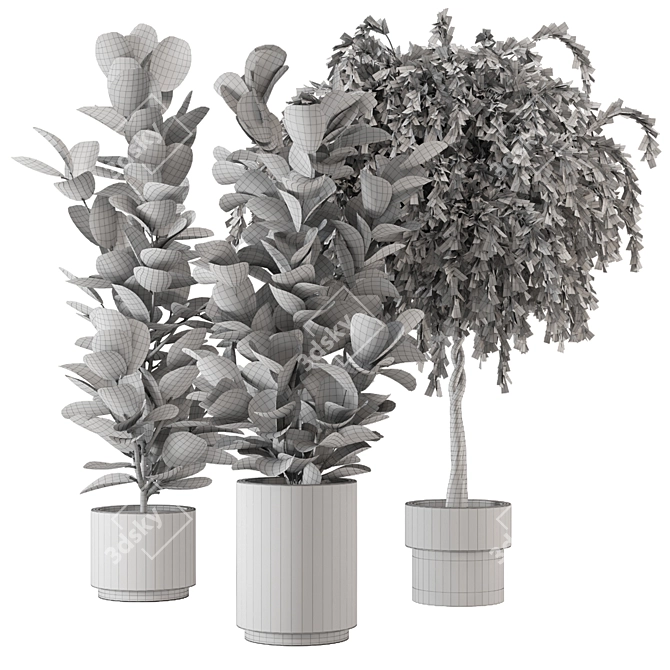  3D Indoor Plants Collection - Set 206 3D model image 6