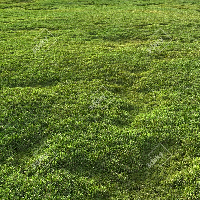 Scattered Grass Patterns 3D model image 1