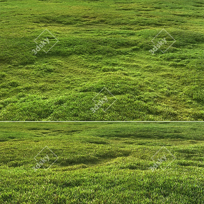 Scattered Grass Patterns 3D model image 2