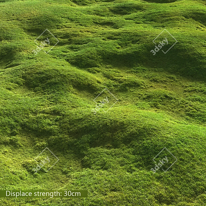 Scattered Grass Patterns 3D model image 4