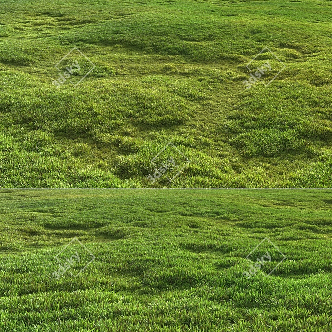 Scattered Grass Patterns 3D model image 5