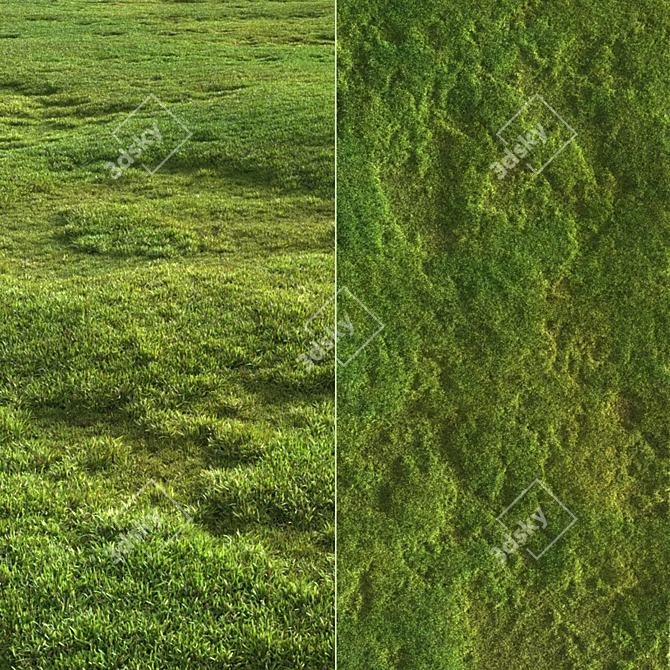 Scattered Grass Patterns 3D model image 6