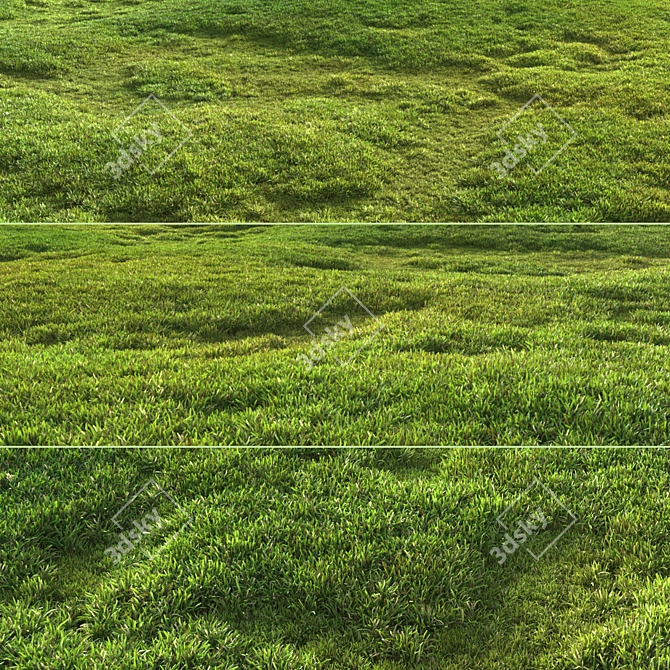 Scattered Grass Patterns 3D model image 9