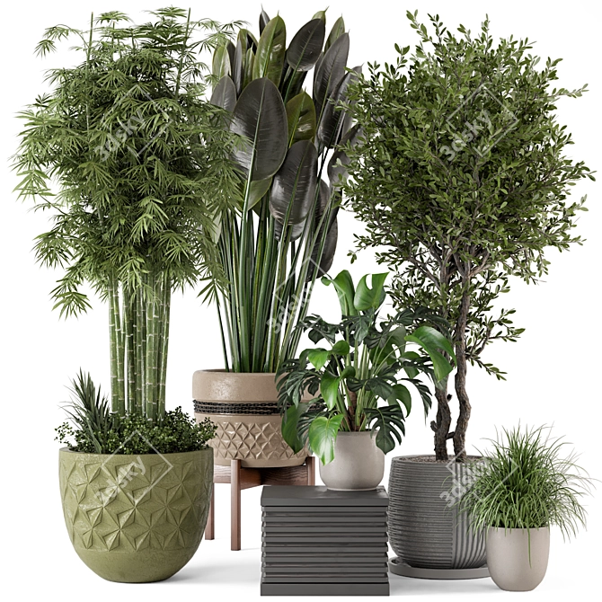 Rustic Indoor Plants - Set 447 3D model image 1