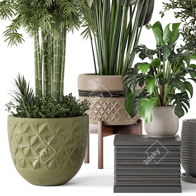 Rustic Indoor Plants - Set 447 3D model image 2