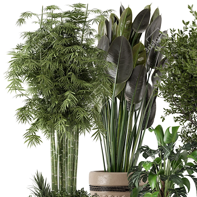 Rustic Indoor Plants - Set 447 3D model image 3