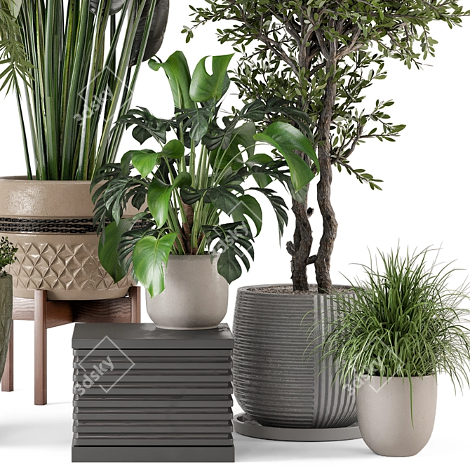 Rustic Indoor Plants - Set 447 3D model image 4