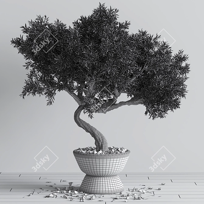 Mini Bonsai Tree - 3D Plant Model 3D model image 7