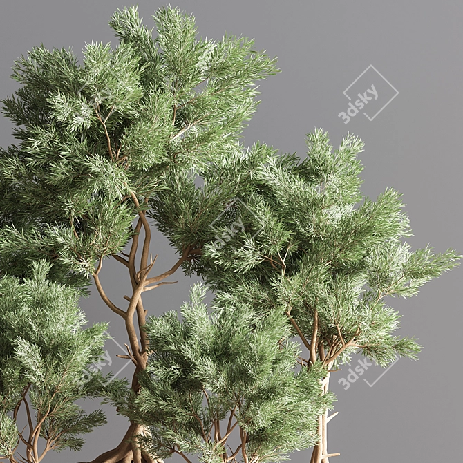 76-Piece Indoor Plant Set: Exquisite Greenery for any Space 3D model image 6