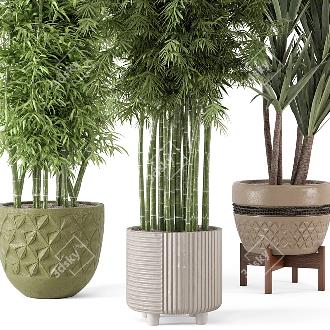 Elegant Indoor Planters - Set 448 3D model image 3