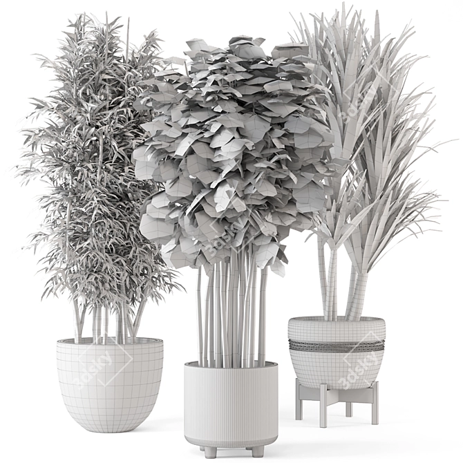 Elegant Indoor Planters - Set 448 3D model image 7