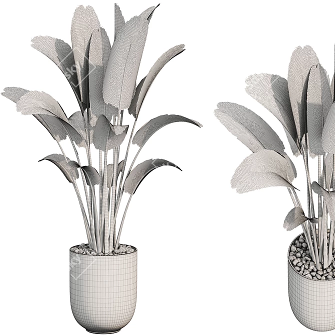 Premium Plant Collection 3D model image 2