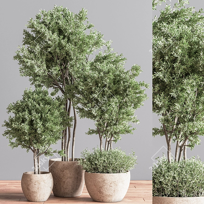 Botanical Haven: Indoor Plant Set 3D model image 3