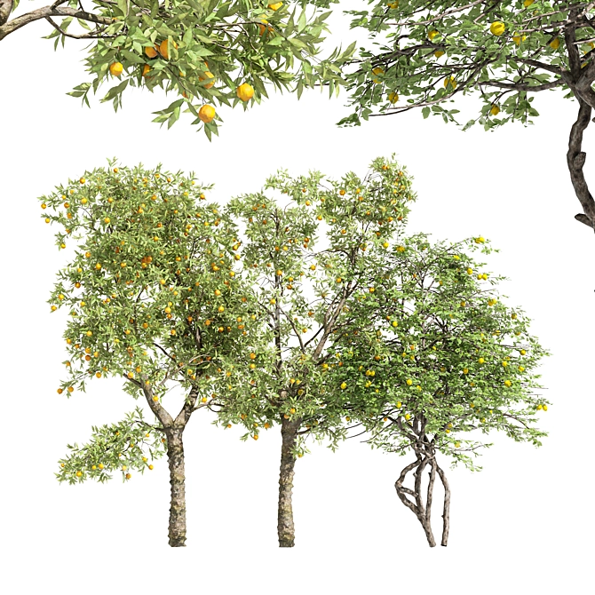 Multi-Tree Fruit Collection - Apple & Peach 3D model image 1