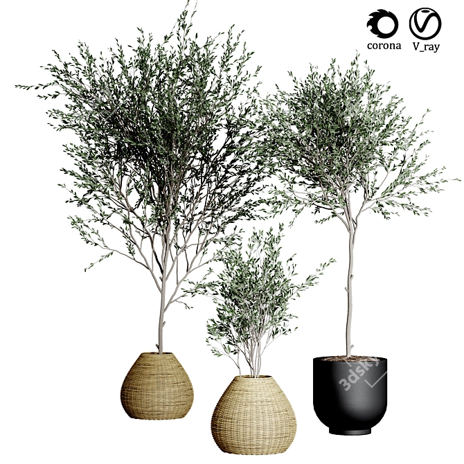 Indoor Plant Collection: 33 Varieties 3D model image 1