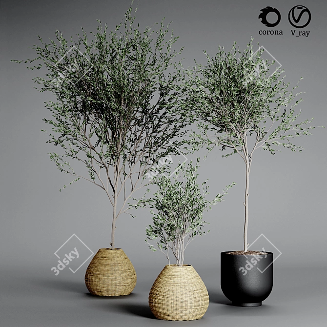 Indoor Plant Collection: 33 Varieties 3D model image 2