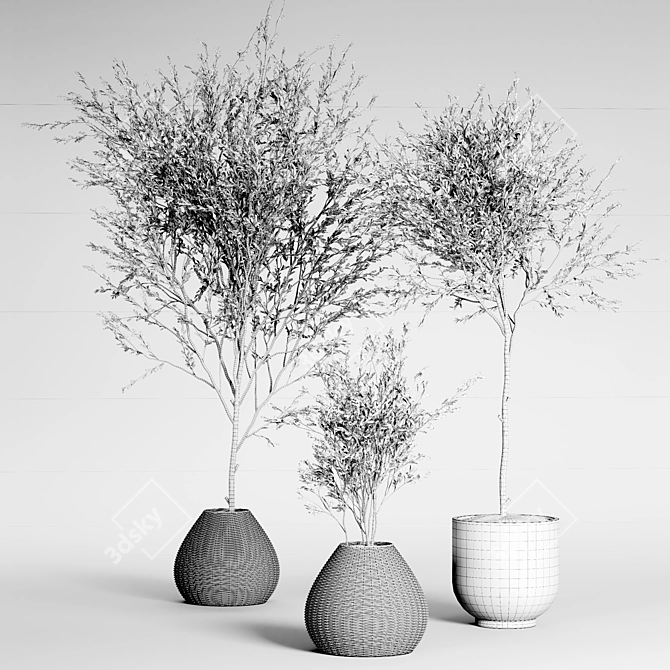 Indoor Plant Collection: 33 Varieties 3D model image 6