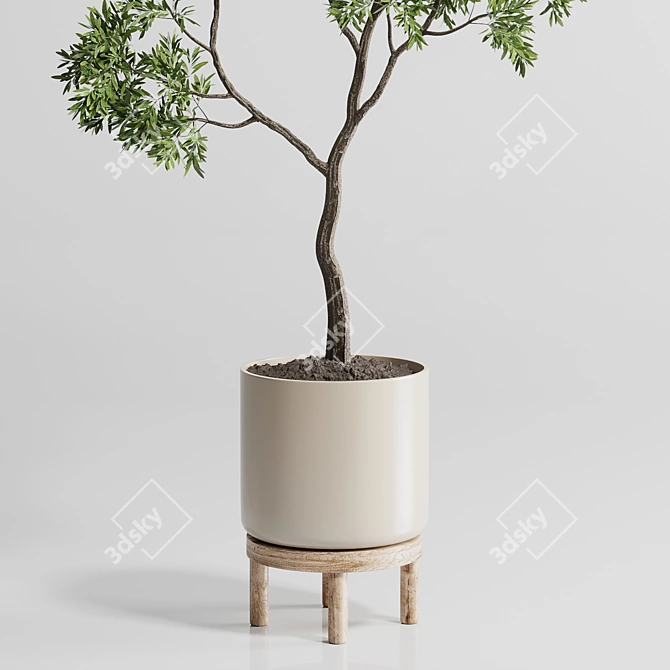 176 Wood Vase Indoor Plant Pot 3D model image 2