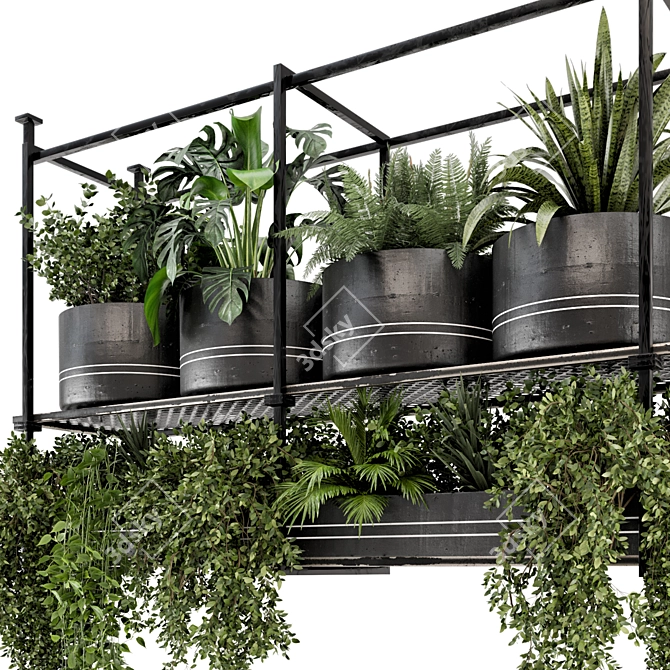 Metal Box Hanging Plants: Set 449 3D model image 2