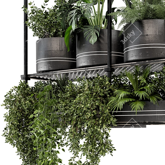 Metal Box Hanging Plants: Set 449 3D model image 5