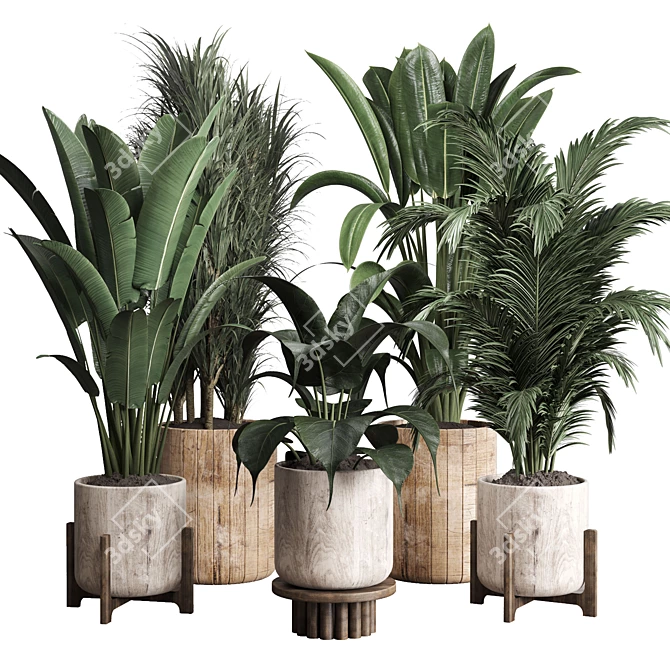 Lush Greenery: 174-Pot Indoor Plant Collection 3D model image 1